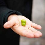 On the Way to Universitatis: With My Pockets Full of Olives